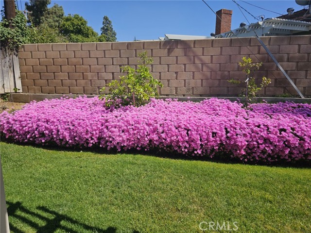 MLS #IV25186956 image #27