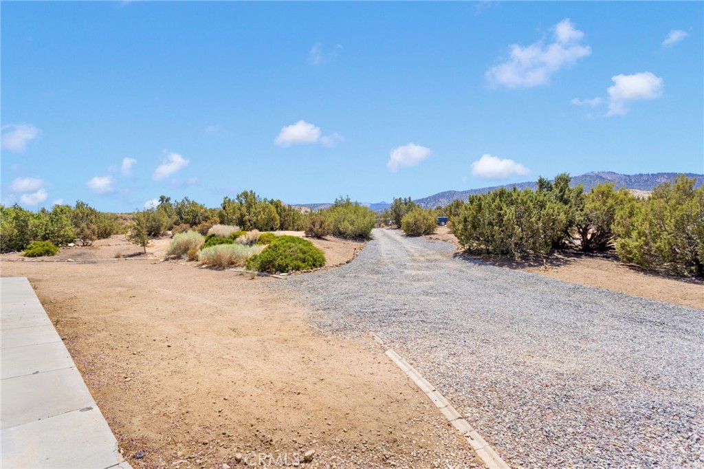 MLS #IV25188866 image #29