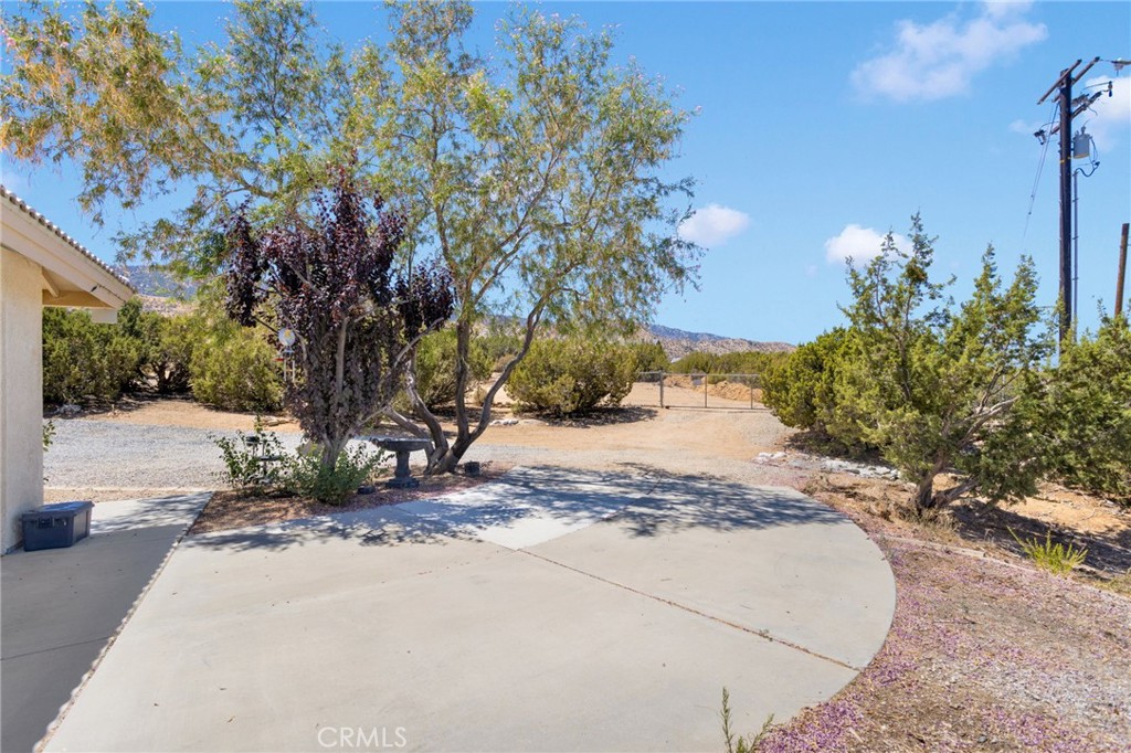 MLS #IV25188866 image #30