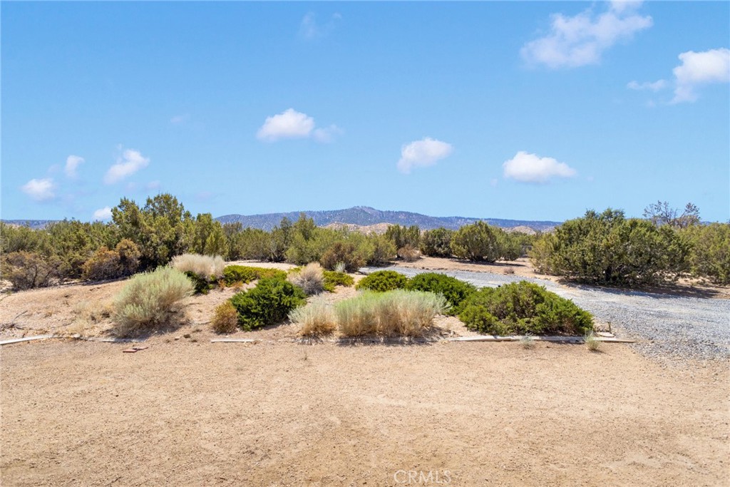 MLS #IV25188866 image #31