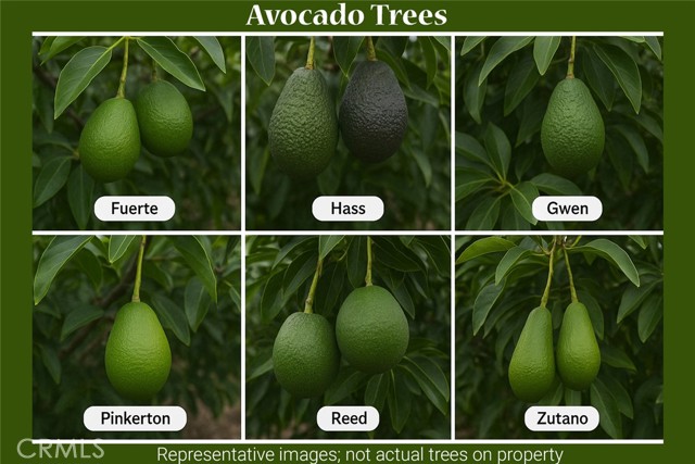 MLS #IV25216197 image #44