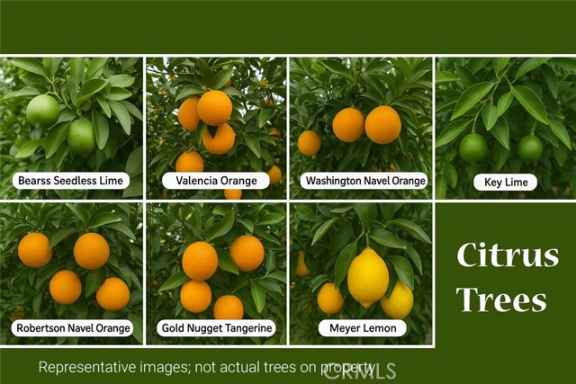 MLS #IV25216197 image #46