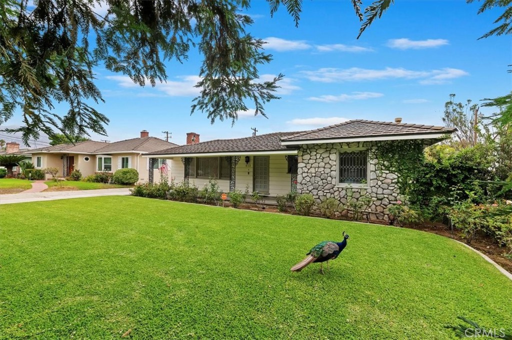 MLS #IV25223481 image #5