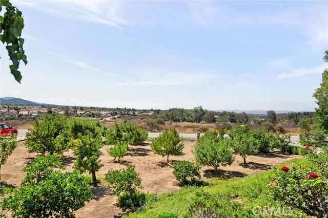 MLS #IV25224571 image #6