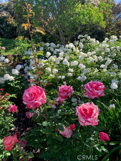 MLS #IV25224571 image #62