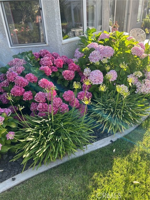 MLS #IV25224571 image #66