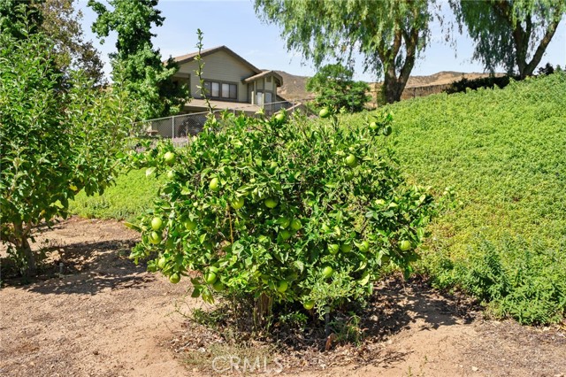 MLS #IV25224571 image #7