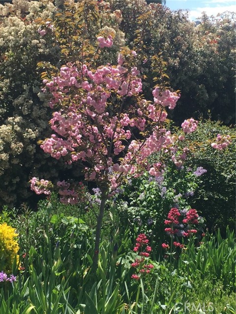 MLS #IV25224571 image #70