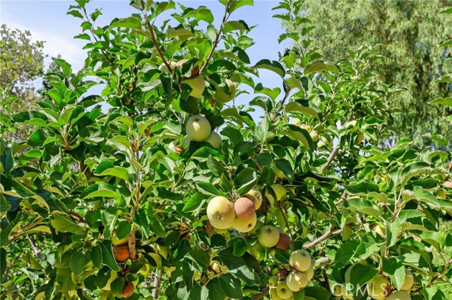 MLS #IV25224571 image #9