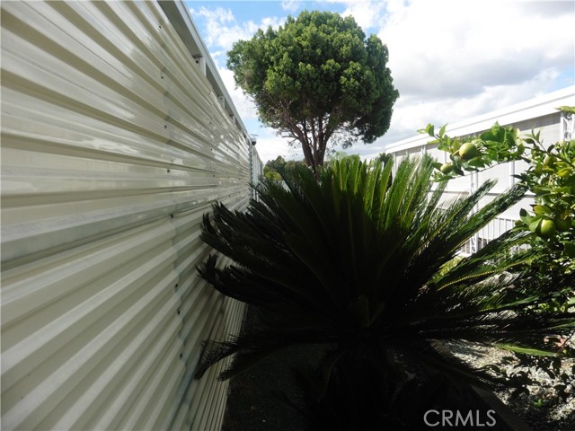 MLS #IV25233411 image #3