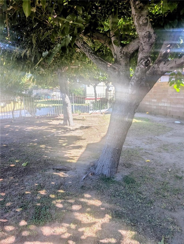 MLS #IV25244026 image #2