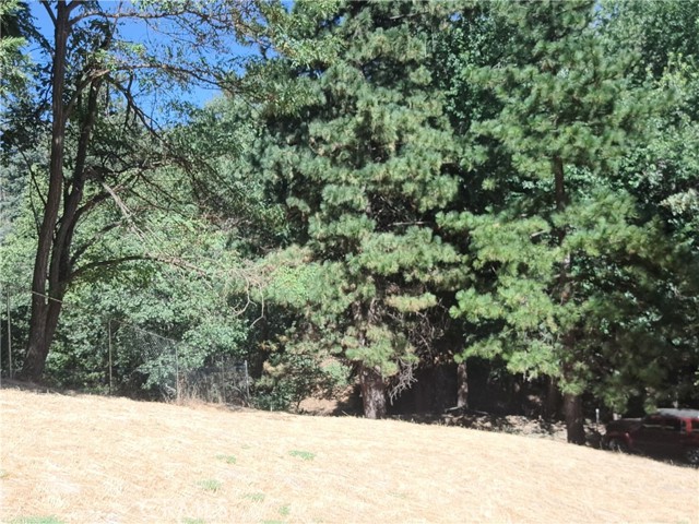 MLS #IV25245799 image #1