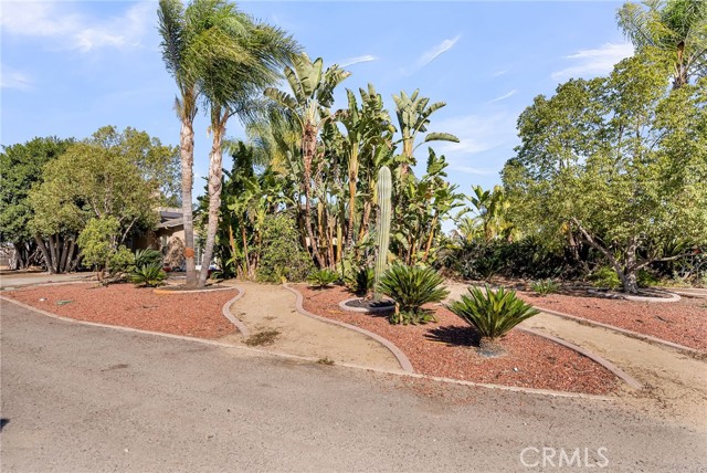 MLS #IV25245877 image #35