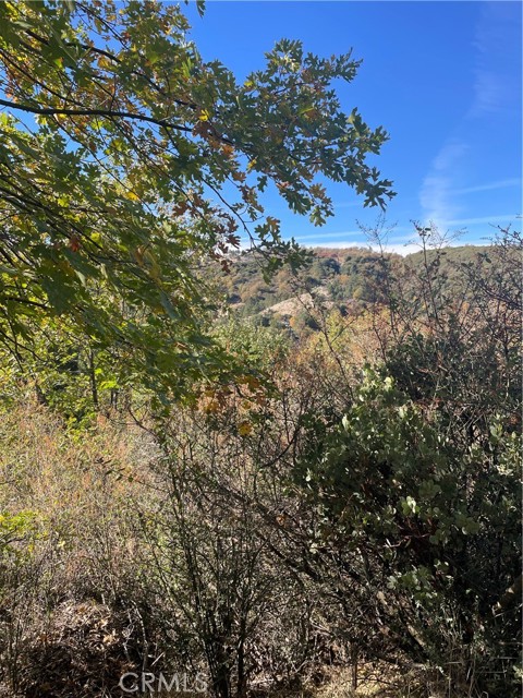 MLS #IV25247158 image #1