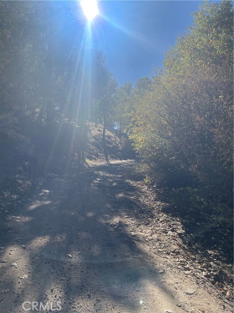 MLS #IV25247158 image #2