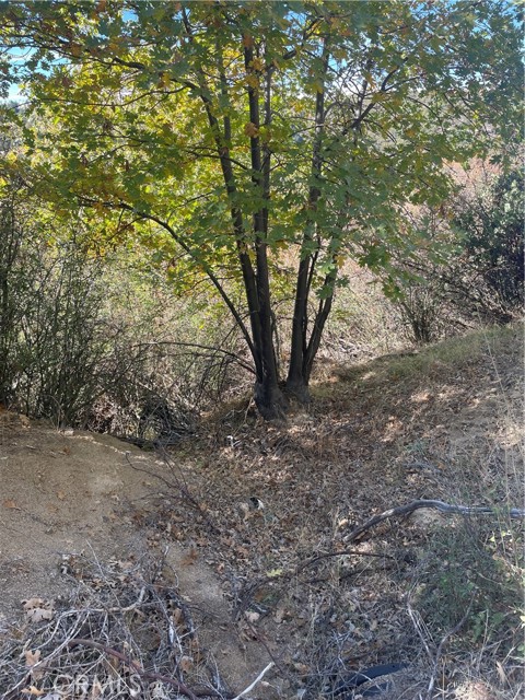 MLS #IV25247158 image #3