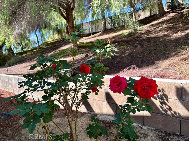 MLS #IV25247503 image #5