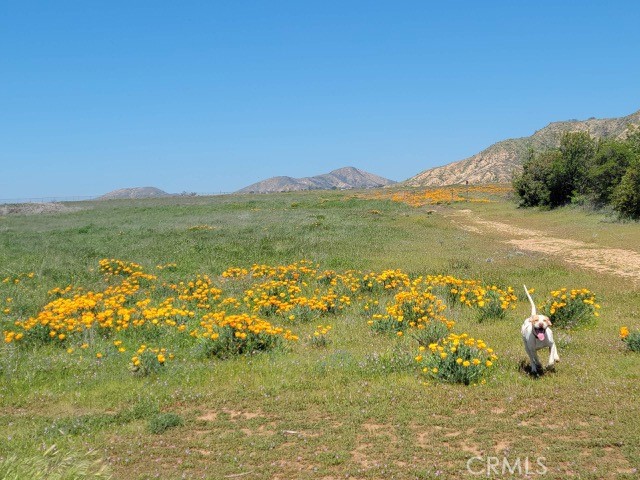 MLS #IV25247505 image #4