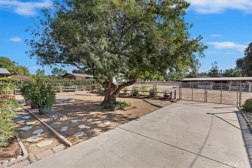 MLS #IV25250408 image #12