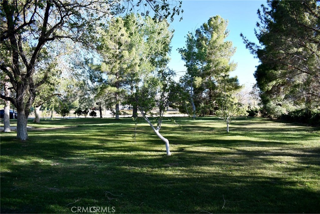 MLS #IV25252621 image #3