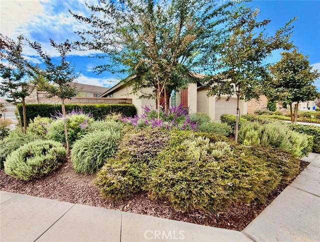 MLS #IV25254559 image #3