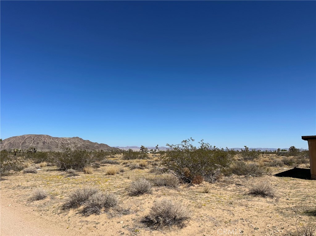 MLS #IV25254922 image #5