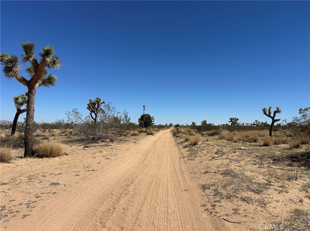 MLS #IV25254922 image #8