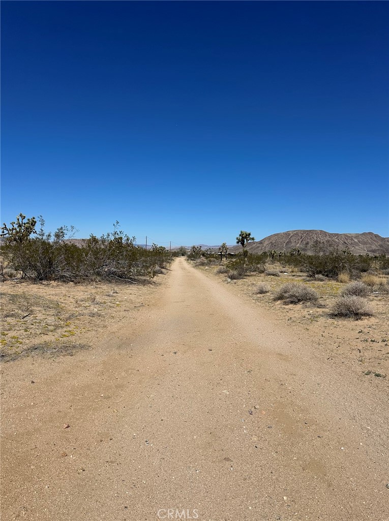 MLS #IV25254922 image #9