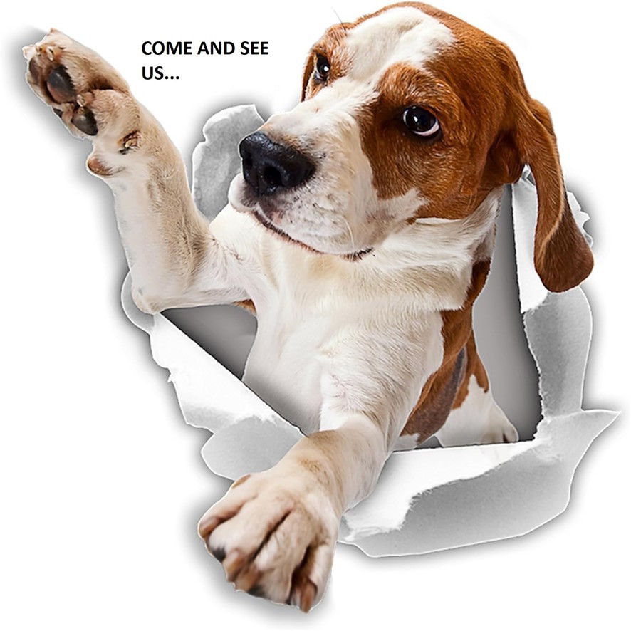 MLS #IV25258720 image #31