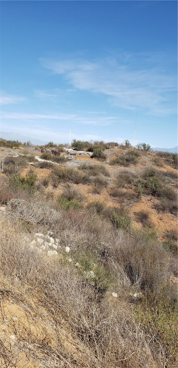 MLS #IV25264641 image #7