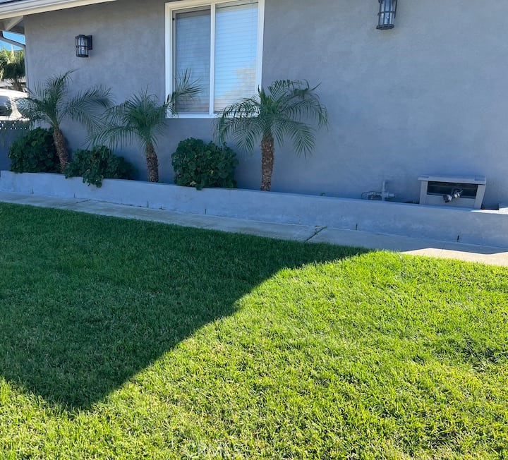 MLS #IV25268462 image #1