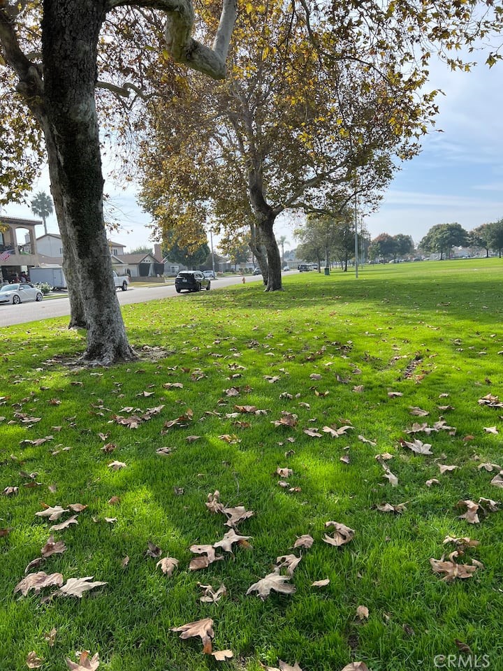 MLS #IV25268462 image #38