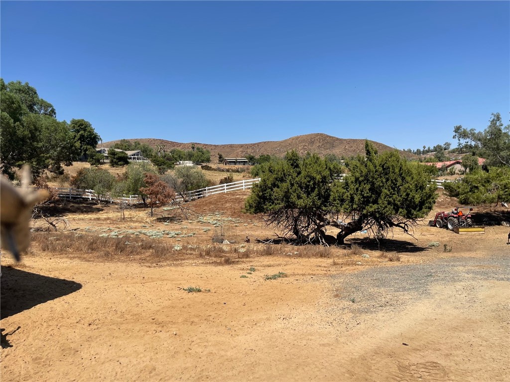 MLS #IV25268886 image #12