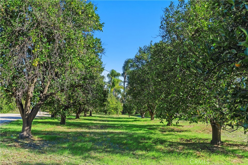 MLS #IV25268915 image #34