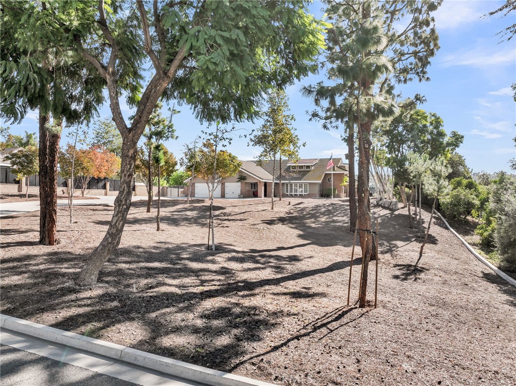 MLS #IV25270291 image #59