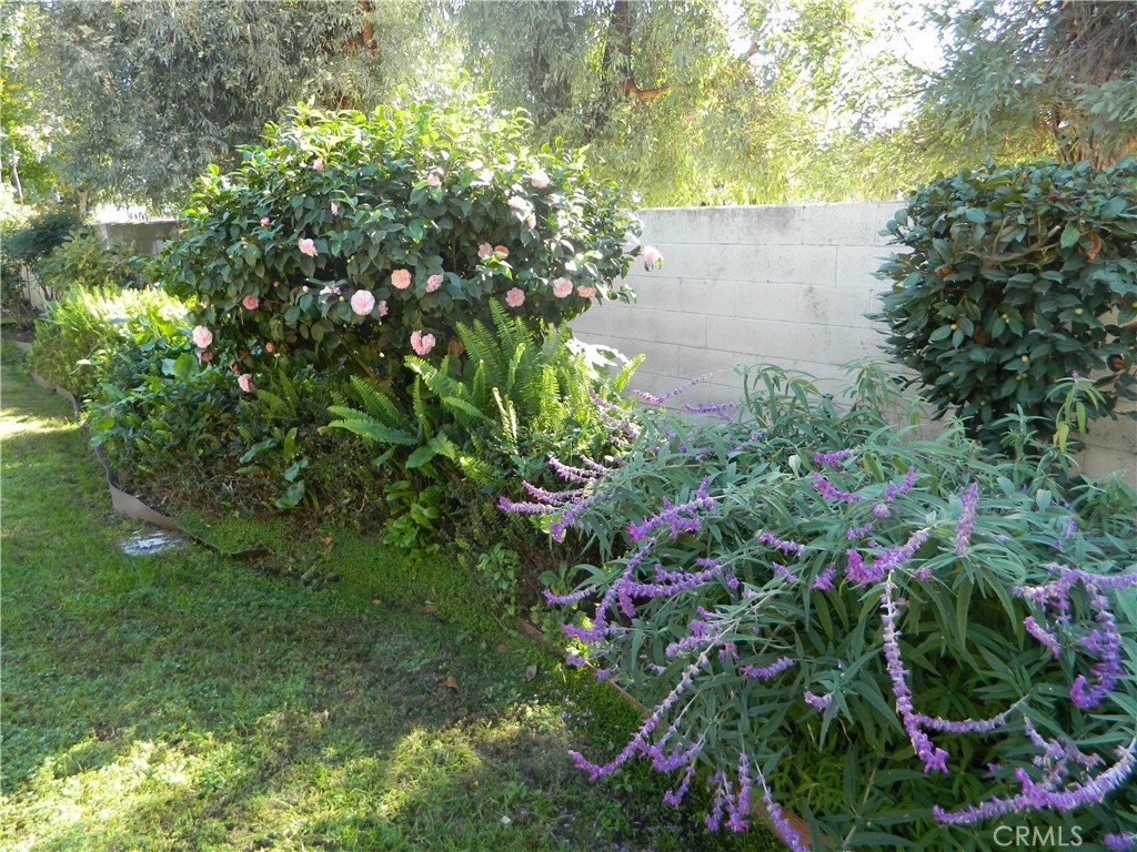 MLS #IV25275929 image #20