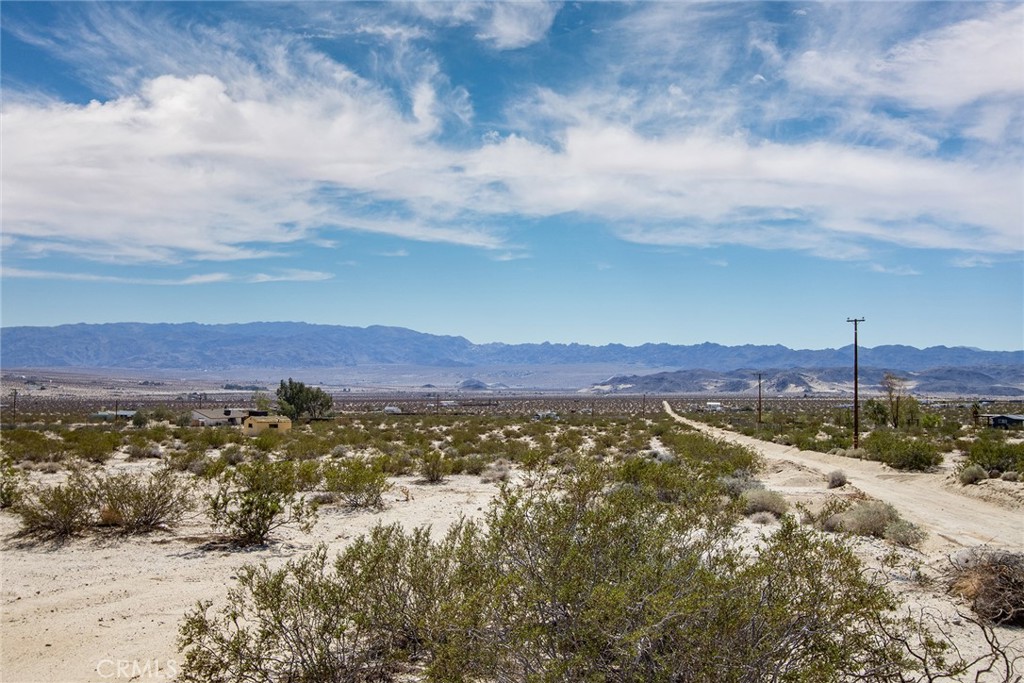 MLS #JT23024029 image #6