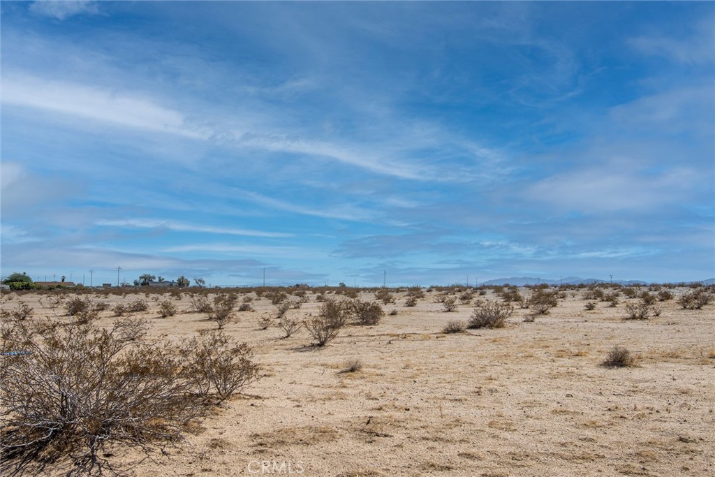 MLS #JT23024034 image #6