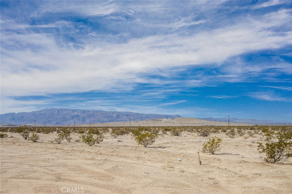 MLS #JT23024043 image #12