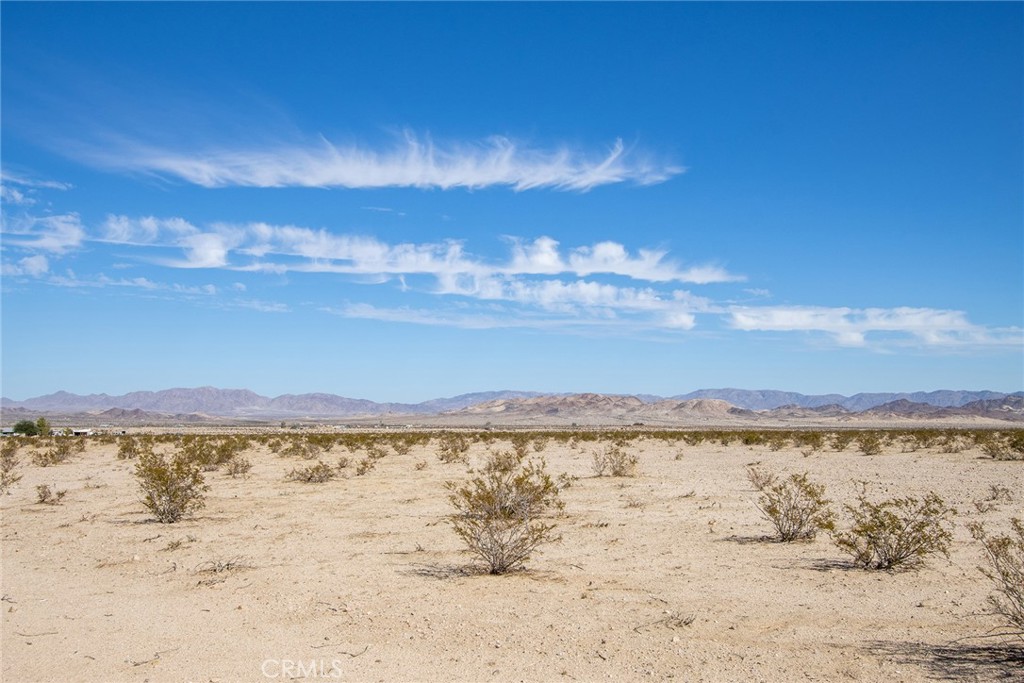 MLS #JT23024043 image #4