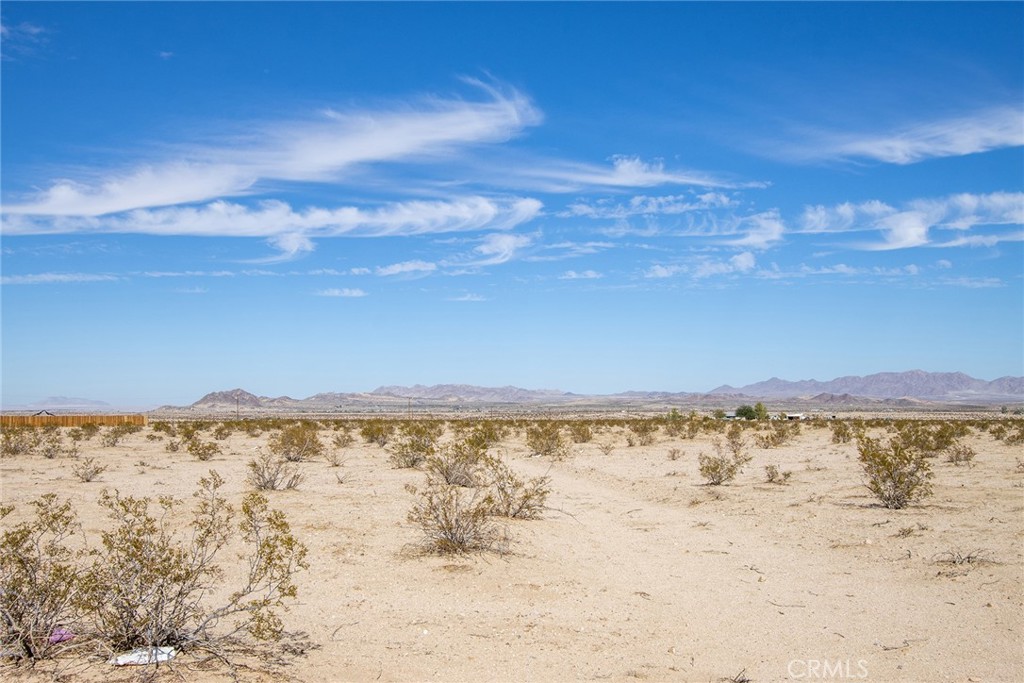 MLS #JT23024043 image #6