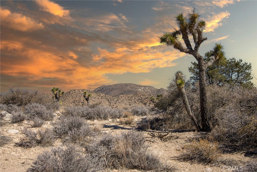 MLS #JT23024069 image #0