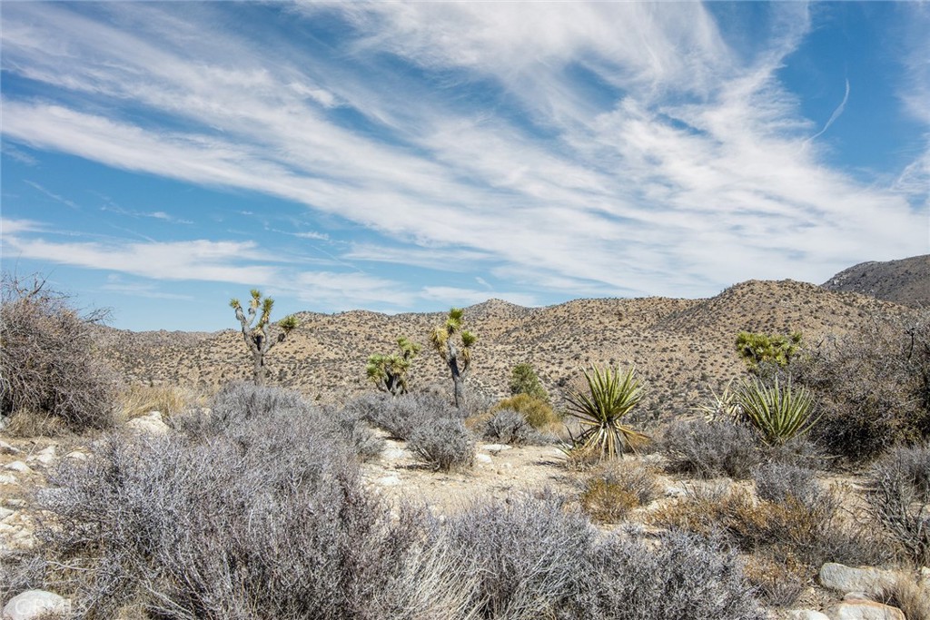 MLS #JT23024069 image #11