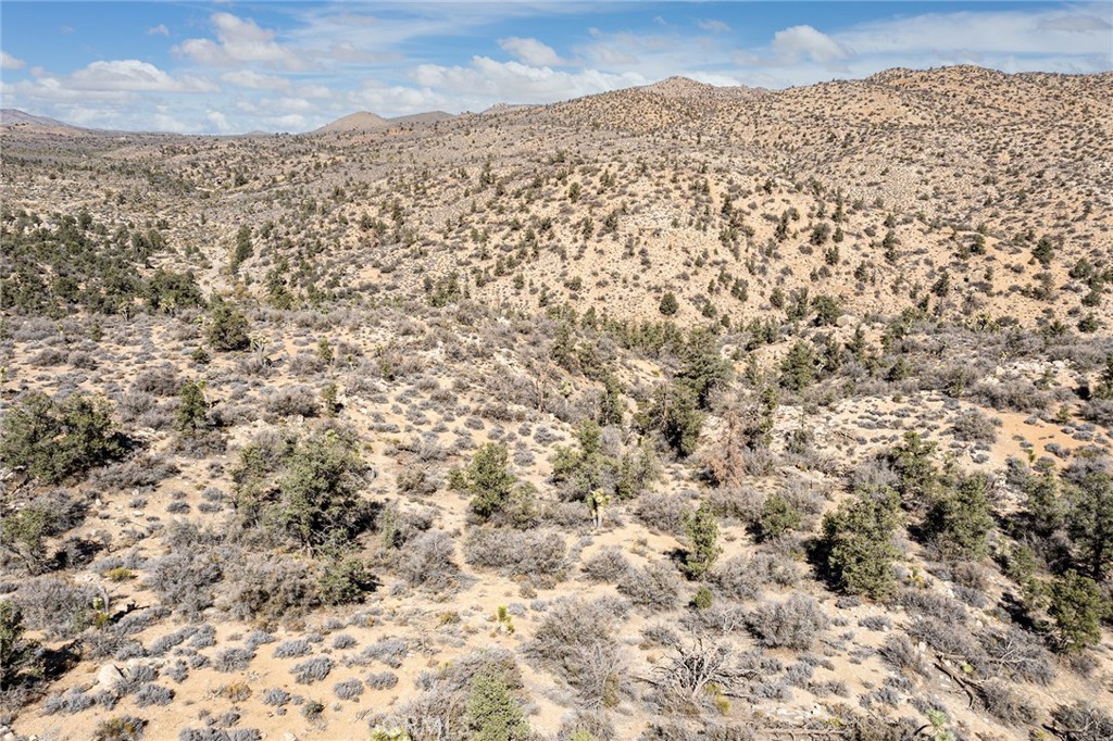 MLS #JT23024069 image #15