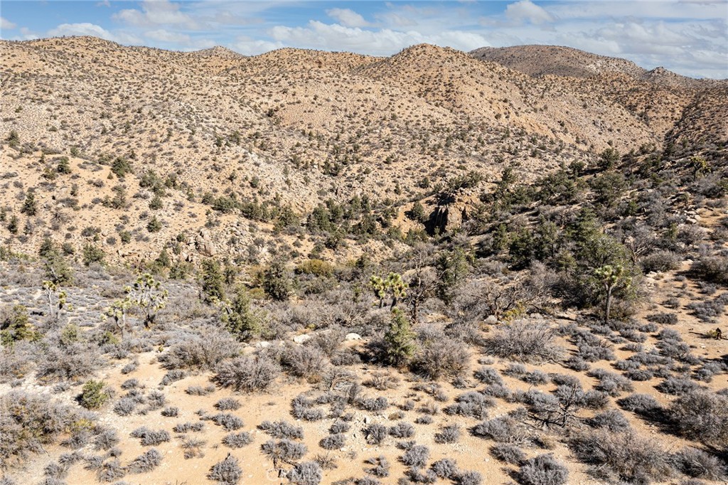 MLS #JT23024069 image #18