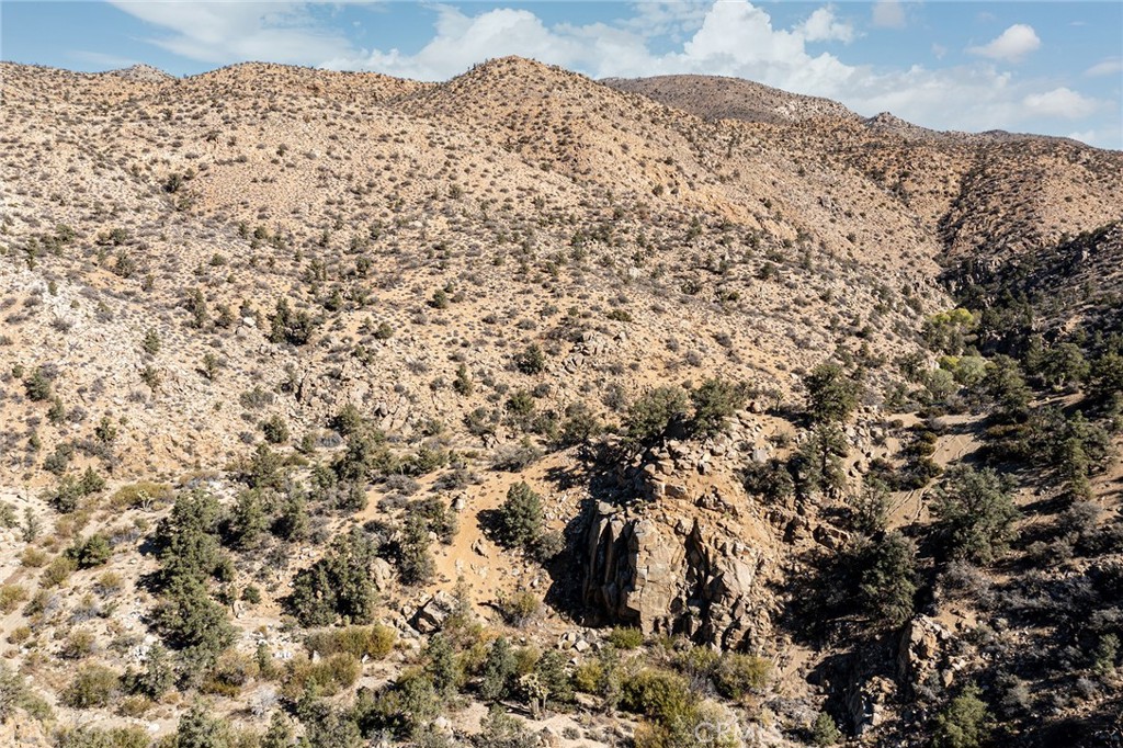 MLS #JT23024069 image #19