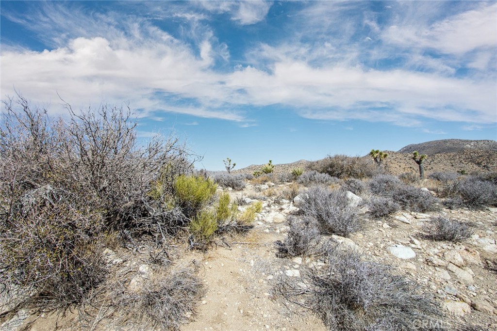 MLS #JT23024069 image #20