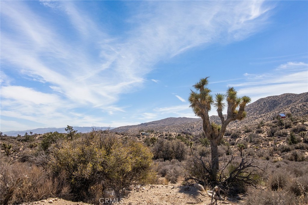 MLS #JT23024069 image #4