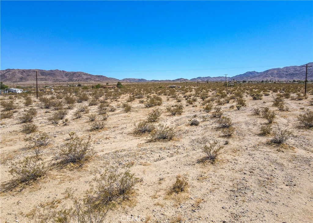 MLS #JT23209237 image #5