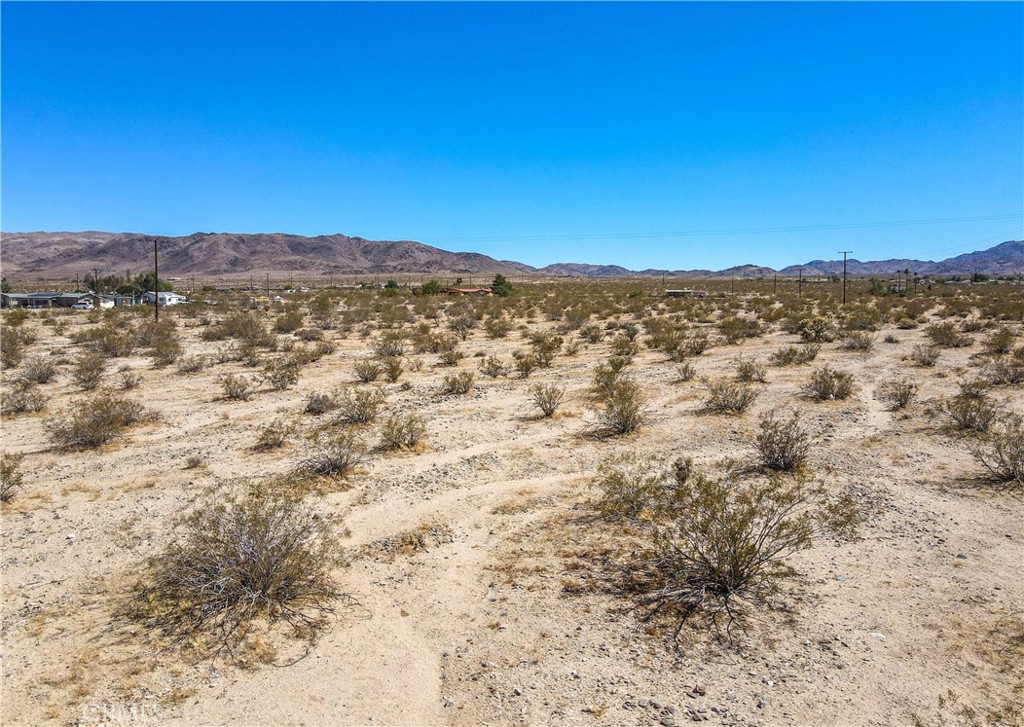 MLS #JT23209237 image #6